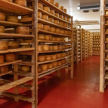 Farm stay Fattoria Lischeto *