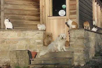 Fattoria Lischeto Κατάλυμα σε φάρμα *