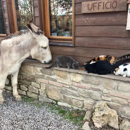 Fattoria Lischeto Farm stay