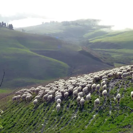 Fattoria Lischeto *