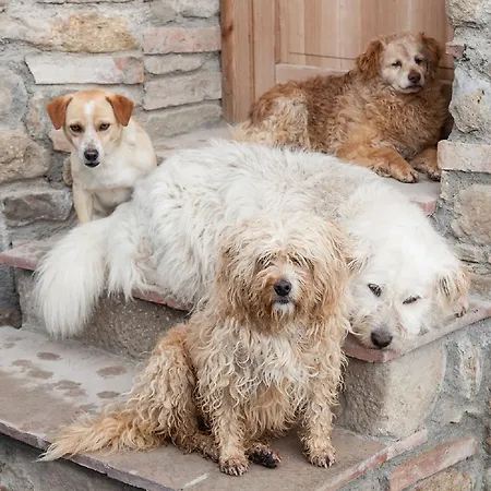 Fattoria Lischeto Farm stay
