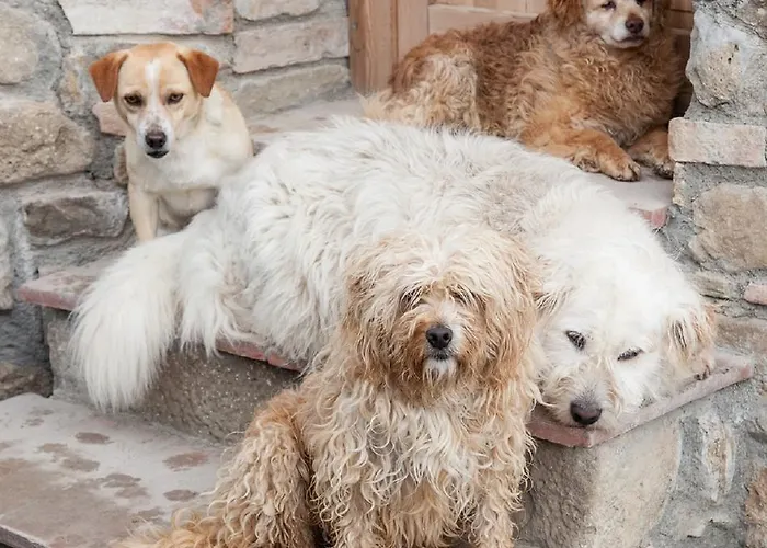 Fattoria Lischeto Vakantieboerderij